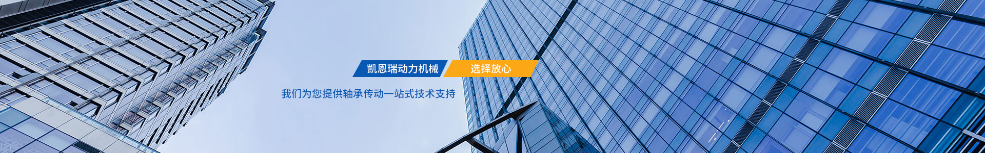 公司介绍